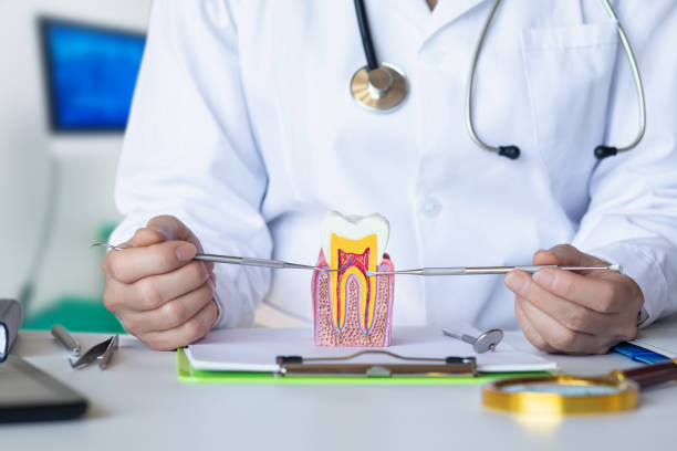 Best Emergency Root Canal Treatment in Sand Ridge, NY